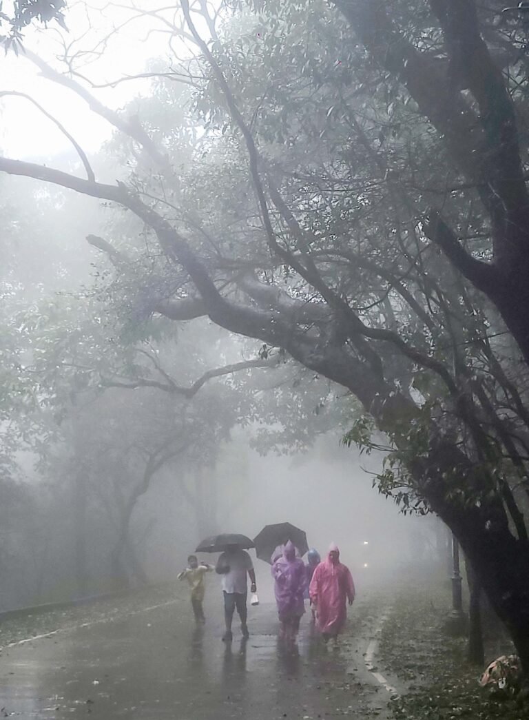 WMO रिपोर्ट का दावा, हिंद महासागर का पैटर्न बचा सकता है बारिश