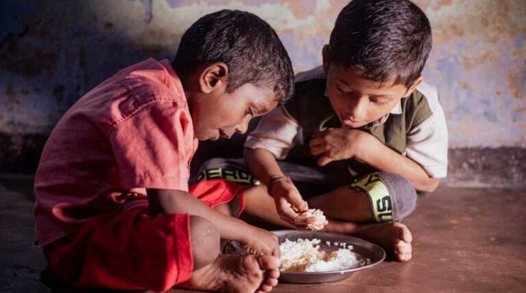 2027 में दुनिया पर छा सकता है Food Crisis, JP Morgan की चेतावनी; El Niño से लेकर खाद की कमी तक बढ़ाएगी मुश्किल