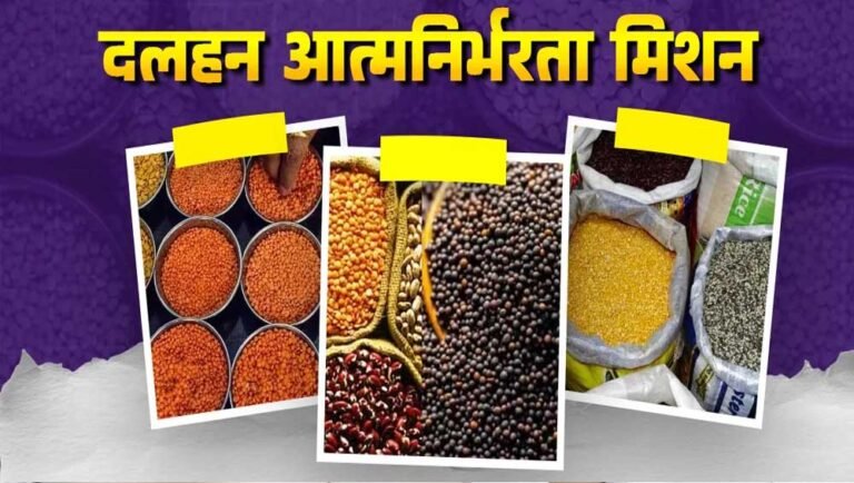 दलहन में आत्मनिर्भरता मिशन को रफ्तार! गतिविधियों की मॉनिटरिंग के लिए राज्य संचालन समिति गठित