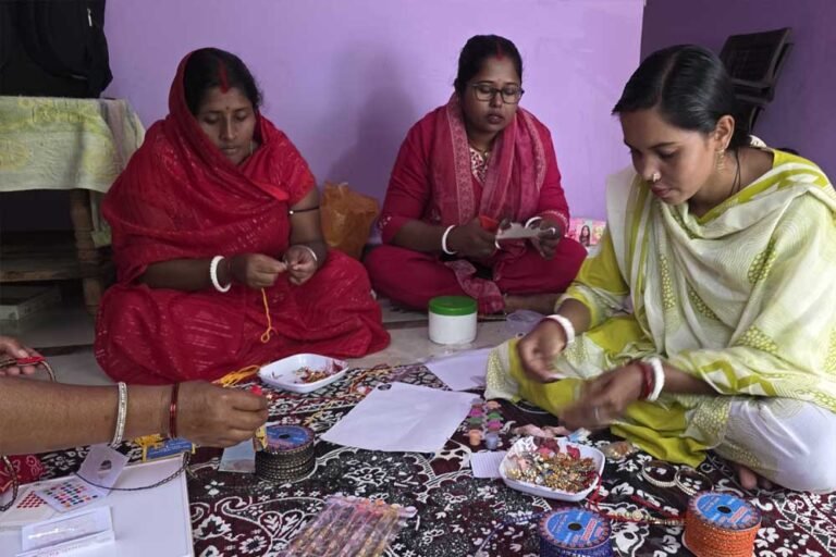‘विष्णु भैया’ के अभियान से बहनों को संबल, बिहान योजना के सहारे सरिता यादव ने संवारी अपनी आजीविका