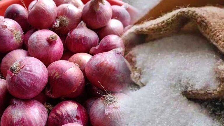 महंगी चीनी के बाद प्याज का झटका! कीमतों में अचानक उछाल, जानें क्यों बढ़े दाम