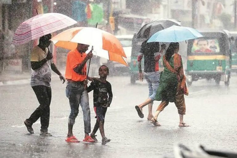मध्य प्रदेश में मानसून की रफ्तार सुस्त, बारिश का आधा कोटा भी पूरा नहीं; 42 जिलों में कम बरसात