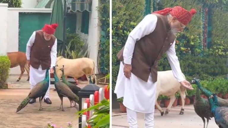लाल किले रवाना होने से पहले PM मोदी ने खिलाया चारा-दाना, वीडियो हुआ वायरल
