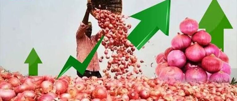 प्याज ₹62 किलो, दूध ₹102 लीटर! चीनी-तेल से LPG तक महंगाई ने बिगाड़ा किचन का बजट