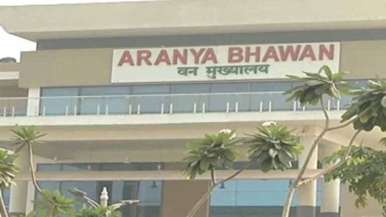छत्तीसगढ़ में IFS प्रशिक्षुओं की फील्ड तैनाती, परख सारडा को सौंपी गई सुकमा की कमान