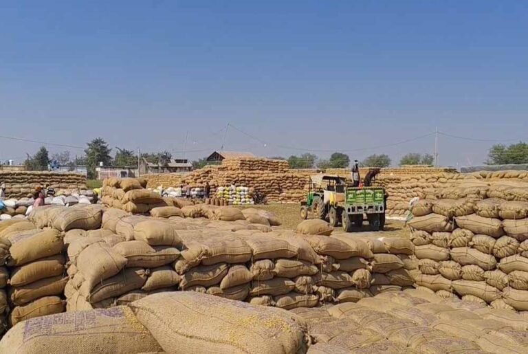 CG के धान खरीदी केंद्र में बड़ा घोटाला, ₹1.31 करोड़ की गड़बड़ी में दो गिरफ्तार