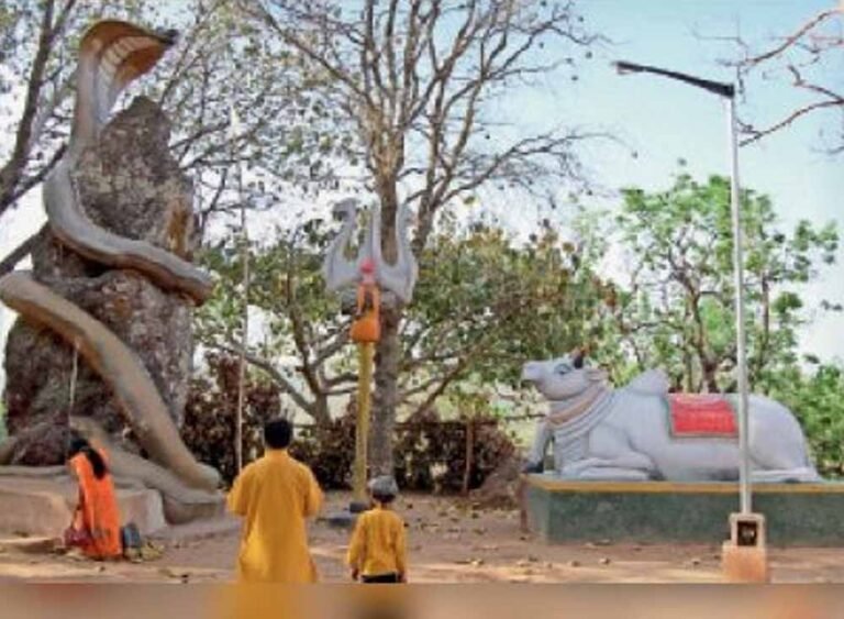 Jashpur News: कैलाश गुफा में हजारों कांवड़ियों के पहुंचने की तैयारी, इलाके में 16 हाथियों की मौजूदगी से चिंता