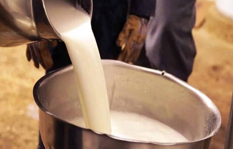 छत्तीसगढ़ में मिलावटी डेयरी उत्पादों पर कार्रवाई के संकेत, स्वास्थ्य मंत्री ने दिया सख्त संदेश