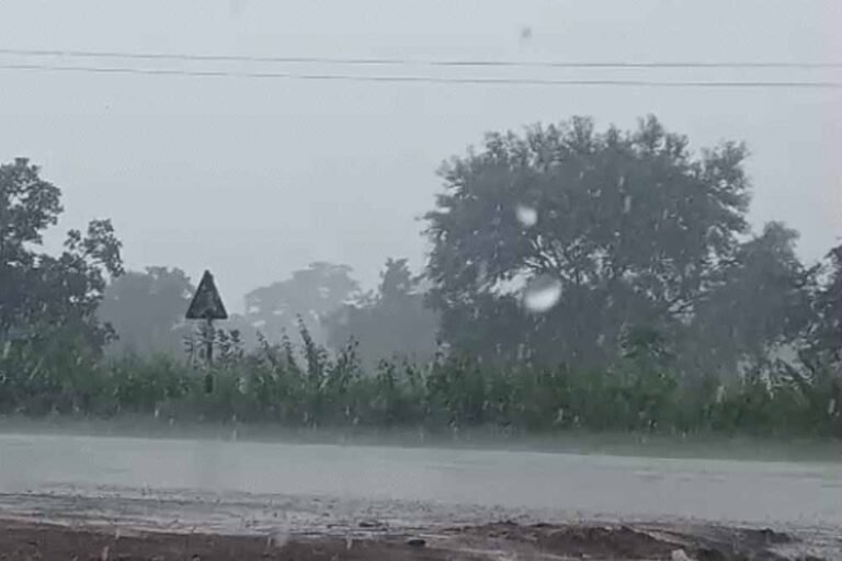 छत्तीसगढ़ में मानसून को लेकर बड़ा अपडेट, 3 दिन बाद फिर बढ़ेगी बारिश; आज रायपुर समेत कई क्षेत्रों में बरसेंगे बादल