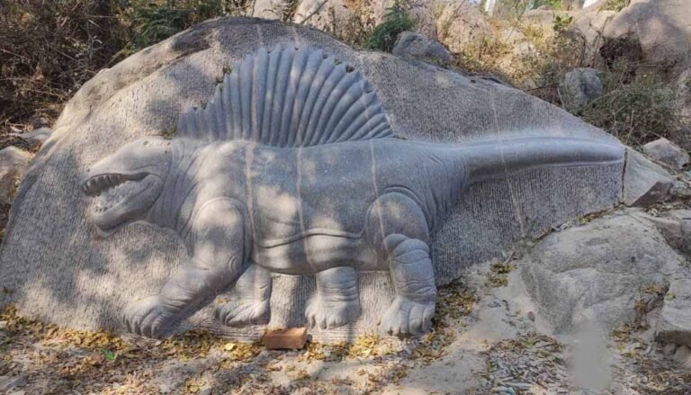 खैरागढ़ में सहेजी गई 230 साल पुरानी लिथोग्राफी, जर्मनी से आए पत्थरों पर छात्रों को मिल रही ट्रेनिंग