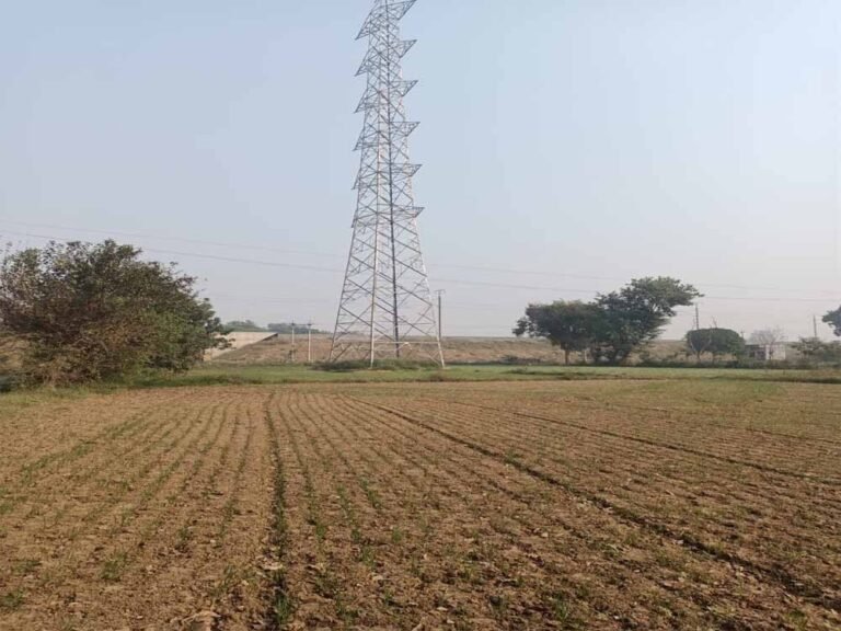 Rewa News: 88 घंटे की भूख हड़ताल के बाद मानी बात, आधी रात कलेक्टर ने दिया आश्वासन