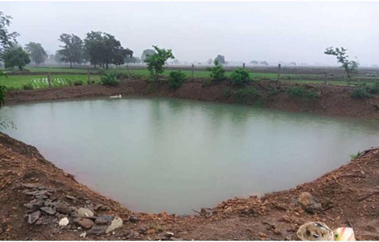 47 आजीविका डबरियां किसानों के लिए बनेंगी संबल, जल संरक्षण के साथ बढ़ेगी आय
