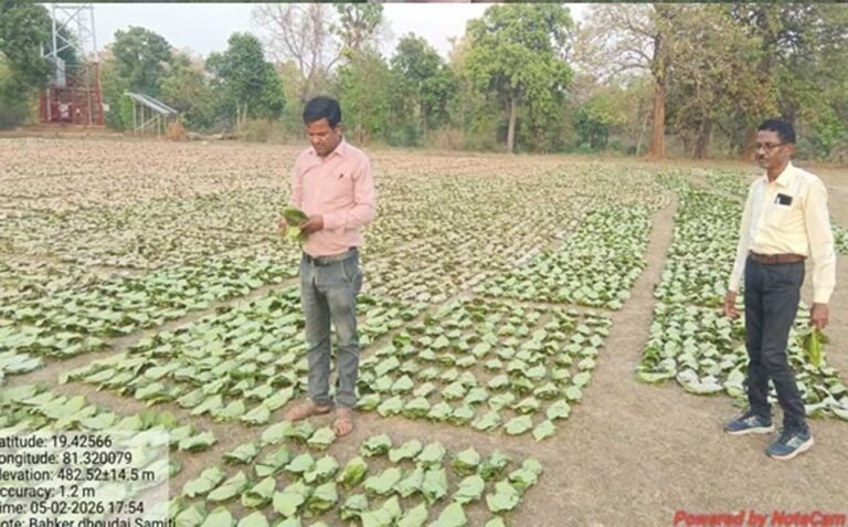 गांव के पास खुला फड़, 365 संग्राहकों को मिला सीधा आर्थिक लाभ