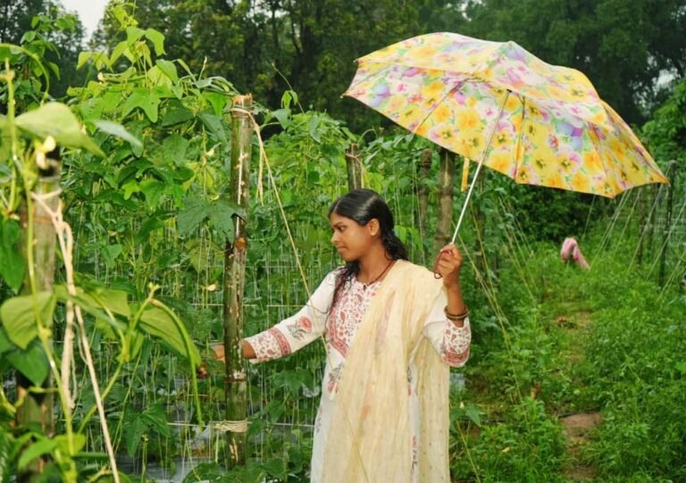 ड्रिप विधि से सब्जी की खेती ने बनाया ‘लखपति दीदी’, सालाना डेढ़ लाख की कमाई