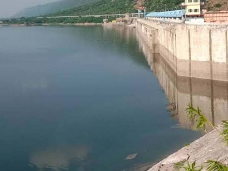 छह महीने बाद बीसलपुर बांध में मछली ठेका प्रक्रिया शुरू, सरकार ने निकाला टेंडर