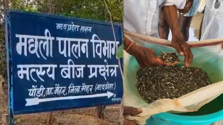 मैहर के पोड़ी केंद्र में किसानों की भीड़, 53 लाख से ज्यादा मछली के बीज बिके; 2027 तक 2.50 करोड़ का लक्ष्य