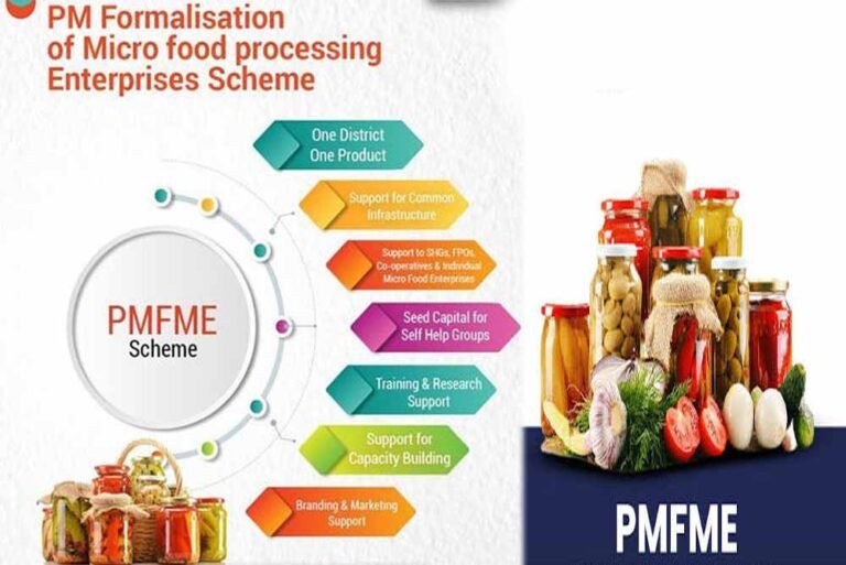 देश सेवा से उद्यम तक का सफर, PMFME योजना ने बदली सफलता की कहानी