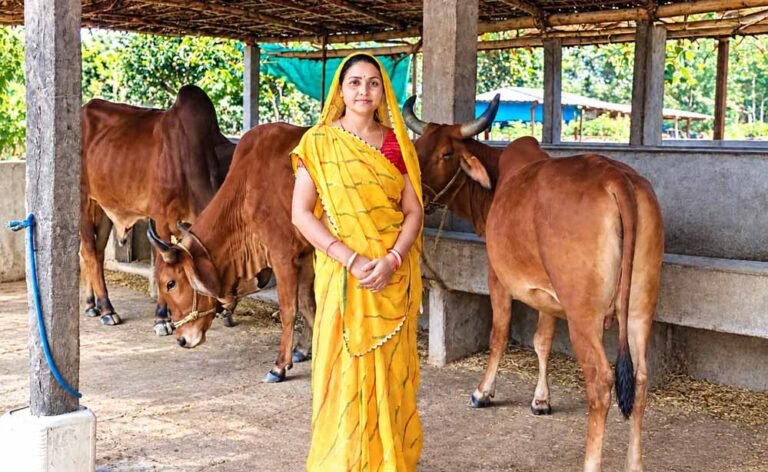 स्व सहायता समूह से जुड़कर आत्मनिर्भर बनीं मीना दीदी