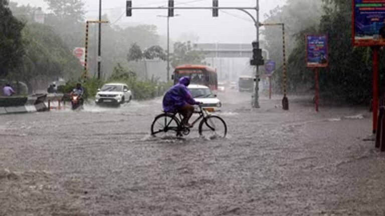 CG में झमाझम बारिश, बस्तर-नारायणपुर समेत कई जिलों में बरसे बादल