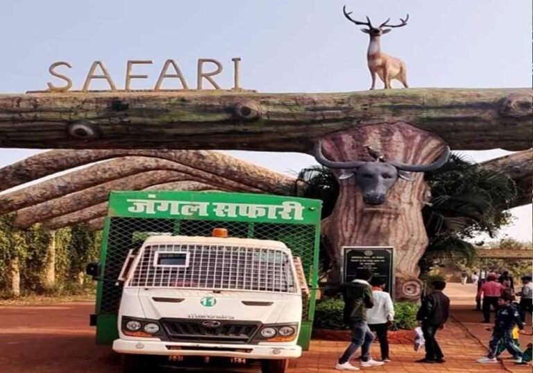 वन्यप्राणियों की सुरक्षा के लिए सख्ती, छत्तीसगढ़ के जंगलों में प्लास्टिक पर लगेगा जुर्माना