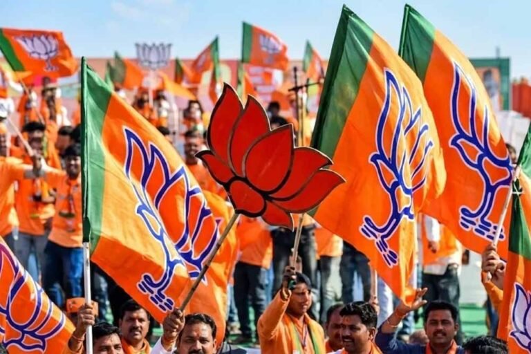छत्तीसगढ़ BJP संगठन में फेरबदल, कर्मवीर को मिली संगठन महामंत्री की जिम्मेदारी