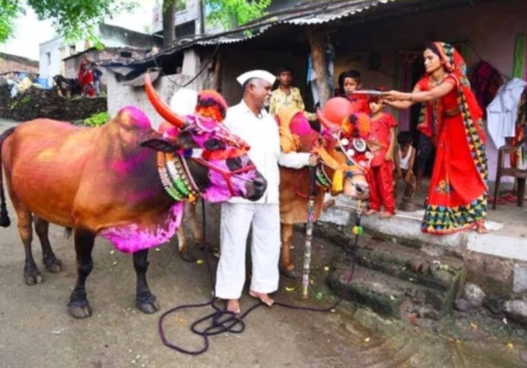 पोला पर्व पर छत्तीसगढ़ में खास आयोजन, CM विष्णुदेव साय होंगे शामिल