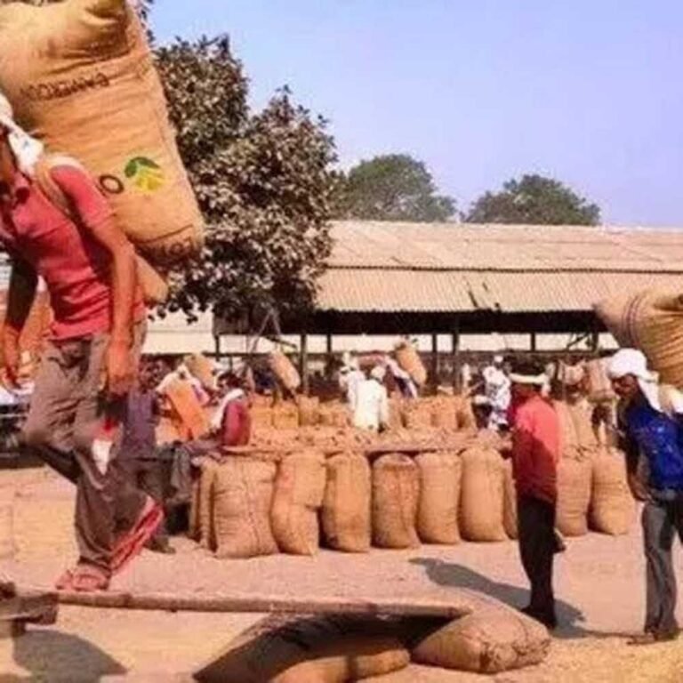 खेत से बाजार तक बदलेगा किसानों का सफर, ट्रेड शो में ब्रांडिंग और डिजिटल बिक्री का मंत्र