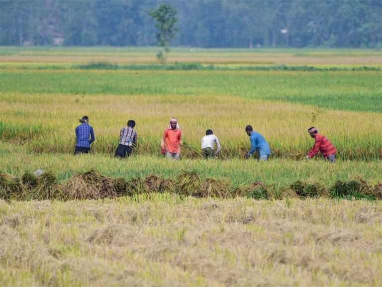 एग्री विस्टा–2026 में कृषि नवाचार और उद्यमिता पर जोर