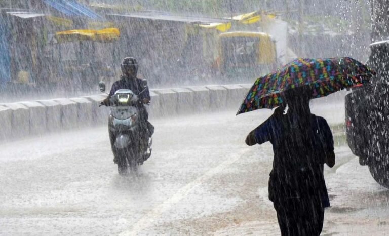 मध्यप्रदेश में बारिश का दौर जारी, 3 जिलों में आज भारी बारिश का अलर्ट