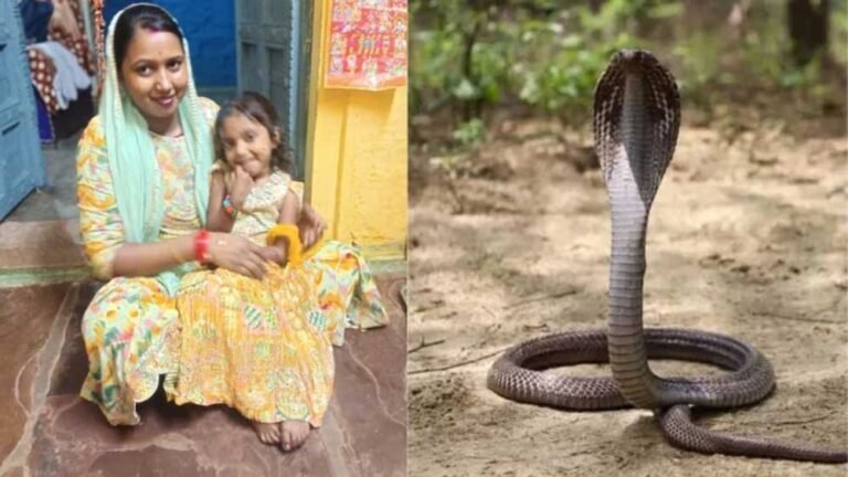 4 साल की मासूम की सर्पदंश से मौत, स्वजन का आरोप- वेंटिलेटर के लिए मांगे पैसे
