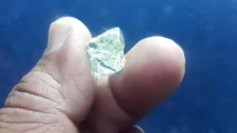 झांसी की महिला को पन्ना की खदान में एक साथ मिले 4 हीरे, कुल वजन 5 कैरेट से ज्यादा