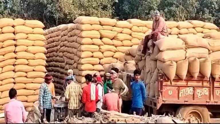 CG Dhan Kharidi: किसानों को ₹3100 प्रति क्विंटल मिलेंगे दाम, 360 नए खरीदी केंद्र भी खुलेंगे; टोकन प्रक्रिया जानें
