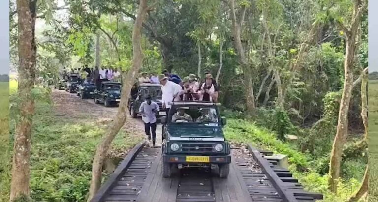 असम में फिर शुरू हुई जंगल सफारी, मानस 2 और काजीरंगा 3 अक्टूबर से पर्यटकों के लिए खुले