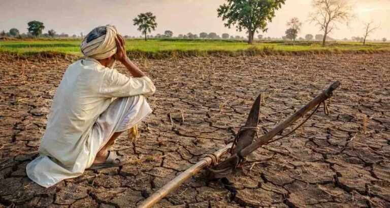 मध्य प्रदेश में बारिश की कमी से बढ़ी चिंता, 25 जिलों में सामान्य बरसात; 11 में 80% से भी कम