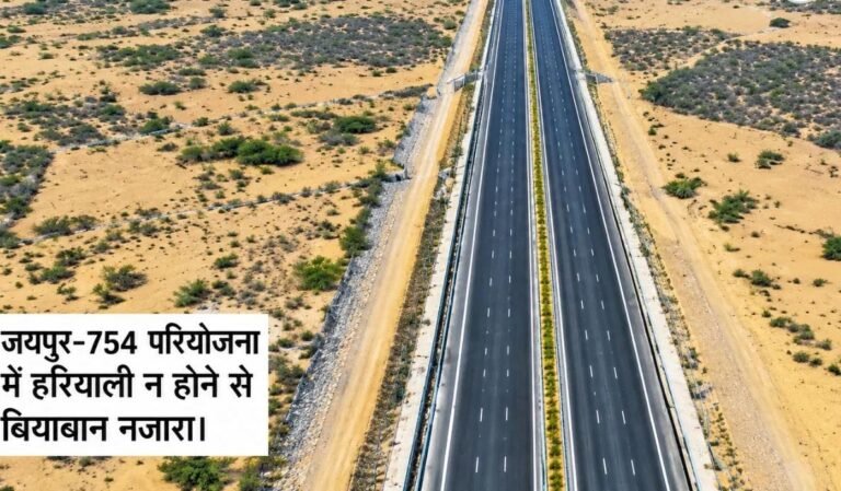 राजस्थान के हाईवे से गायब हुई हरियाली, हनुमानगढ़ में सबसे खराब स्थिति; सैटेलाइट सर्वे में चौंकाने वाले आंकड़े