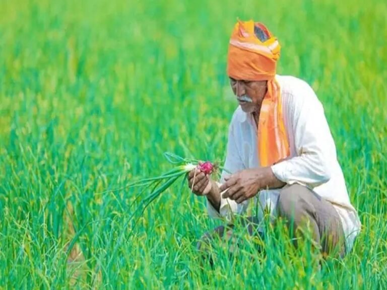 फसल बीमा क्लेम पर बड़ा फैसला, डूंगरपुर के किसानों को मिलेंगे 7.69 करोड़ रुपये