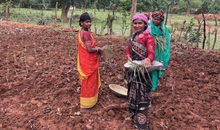 लेमन ग्रास की खेती से महक रही आत्मनिर्भरता, GPM की महिलाएं ‘लखपति दीदी’ बनने की राह पर