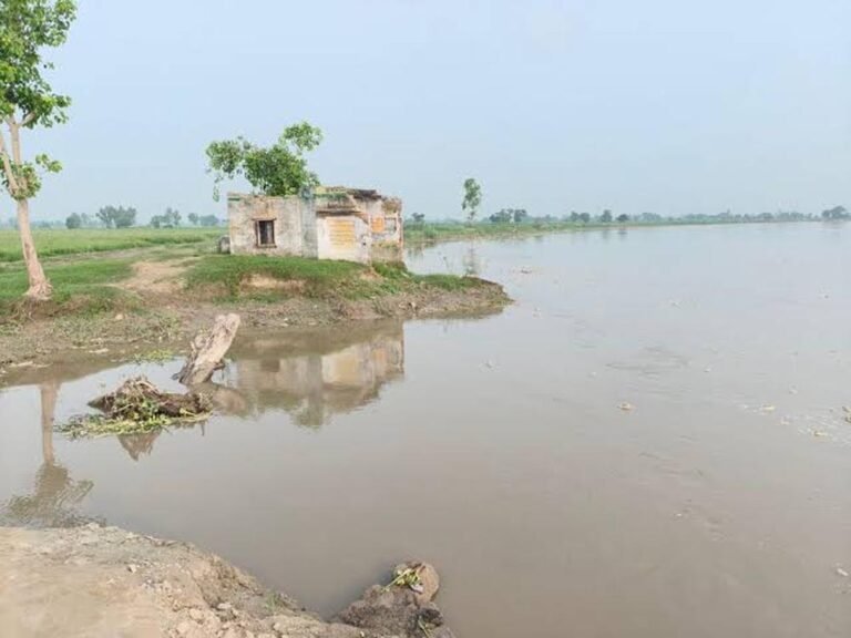 गोमती नदी की बाढ़ से बढ़ा ग्राउंड वाटर लेवल, बारिश से नदी और तालाबों को मिला पानी