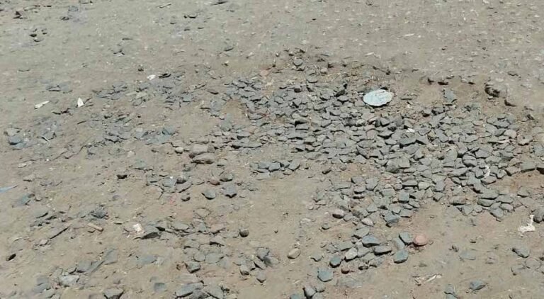 मुरैना में महापौर BJP की, विधायक कांग्रेस के, फिर भी विकास को तरस रहा शहर; बारिश में सड़कें बनीं तालाब