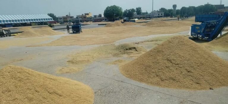 नए बारदानों की खरीदी अटकी, पुराने बारदानों से होगी धान खरीदी