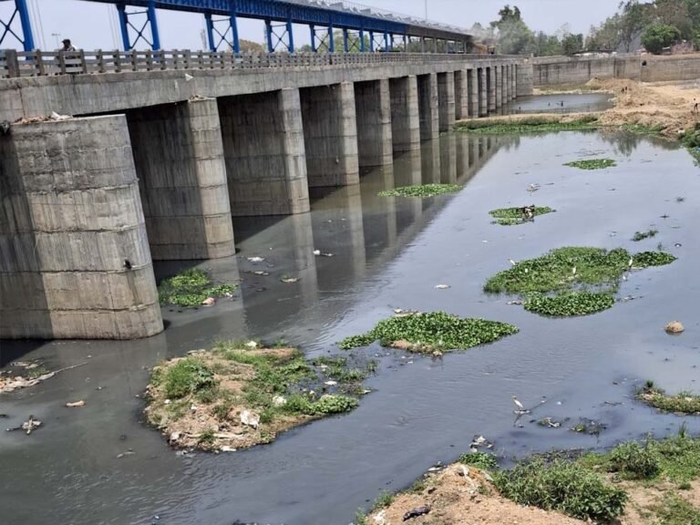 अरपा नदी प्रदूषण पर हाईकोर्ट का सवाल, 70 नालों के लिए सिर्फ 4 STP क्यों?