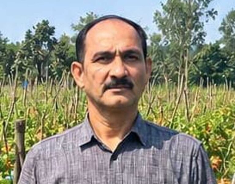 उन्नत टमाटर की खेती से शाहिद की मेहनत लाई रंग, 2 एकड़ में कमाए 1.20 लाख रुपये
