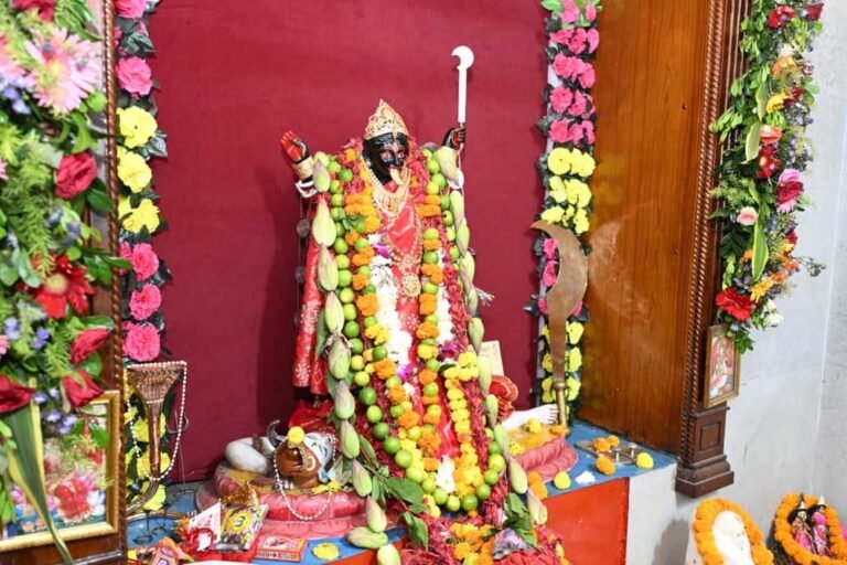 मुख्यमंत्री  साय ने रायपुर के कालीबाड़ी मंदिर एवं दुर्गा पूजा पंडाल में टेका माथा, प्रदेशवासियों की खुशहाली के लिए मांगा आशीर्वाद