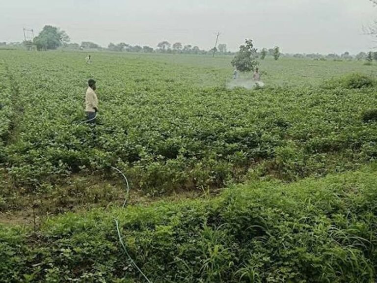 विज्ञान एवं प्रौद्योगिकी विभाग की पहल पर दो दिवसीय स्पेस एप्लीकेशंस एडॉप्शन वर्कशॉप सफलतापूर्वक संपन्न