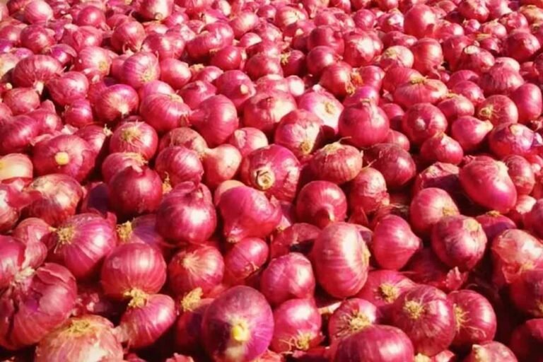 खाने-पीने की चीजों की कीमतों में उछाल, प्याज से लेकर तेल तक क्यों महंगे हुए सामान?