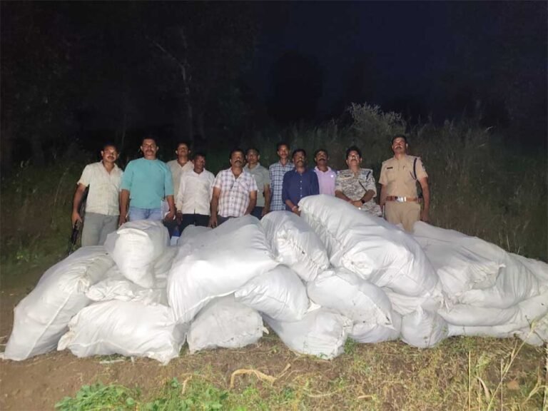 नीमच एवं धार में आठ खेतों में अवैध गांजे की खेती का पर्दाफाश, 34 क्विंटल से अधिक गांजे के हरे पौधे जब्त अनुमानित कीमत 5 करोड़ 89 लाख रुपए