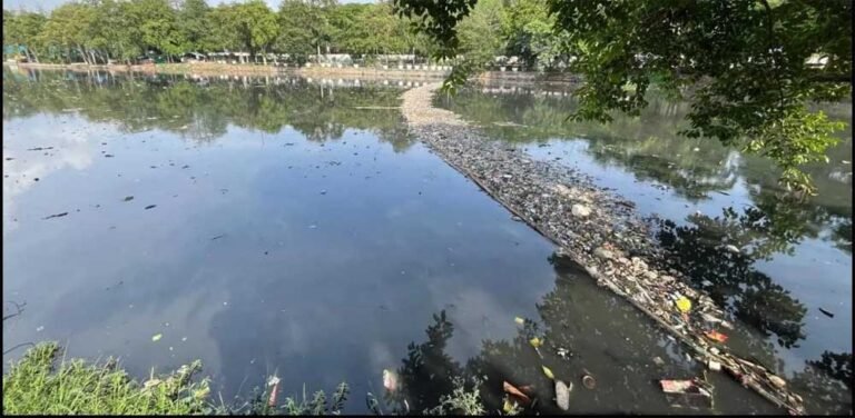 जल प्रदूषण पर NGT सख्त, एमपी समेत तीन राज्यों को देना होगा जवाब; सीवेज प्रबंधन पर मांगी रिपोर्ट