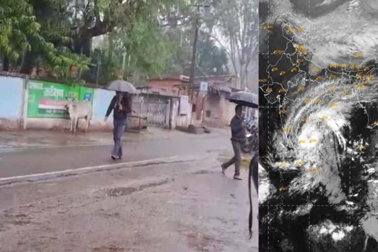 इंदिरा गांधी कृषि विश्वविद्यालय ने जारी की मौसम आधारित कृषि सलाह